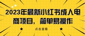2023年最新小红书成人电商项目,简单易操作【详细教程】网赚项目-副业赚钱-互联网创业-资源整合智云网赚