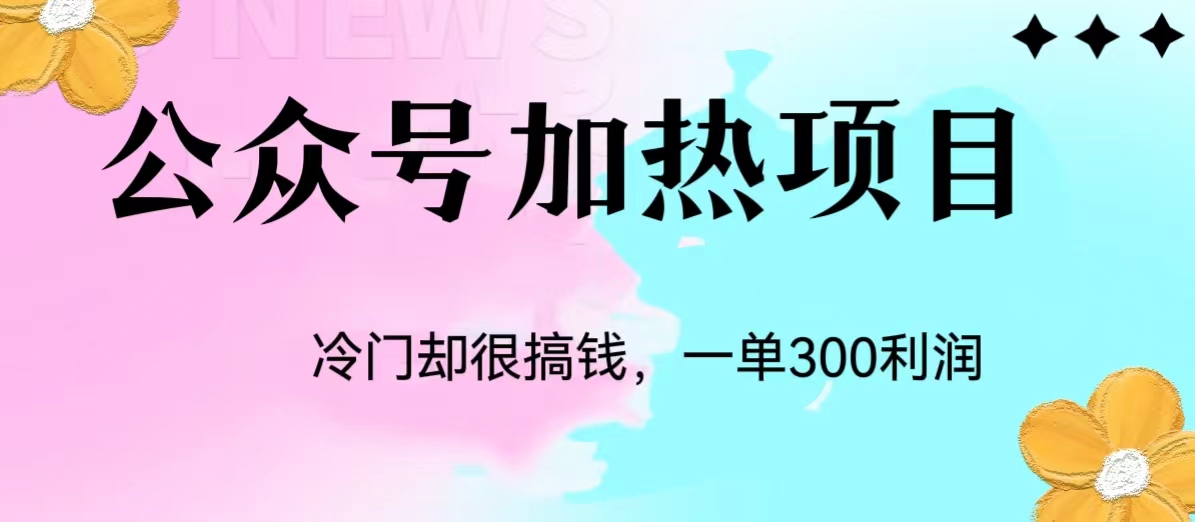 冷门公众号加热项目，每天1-2小时，一单100-300+网赚项目-副业赚钱-互联网创业-资源整合智云网赚