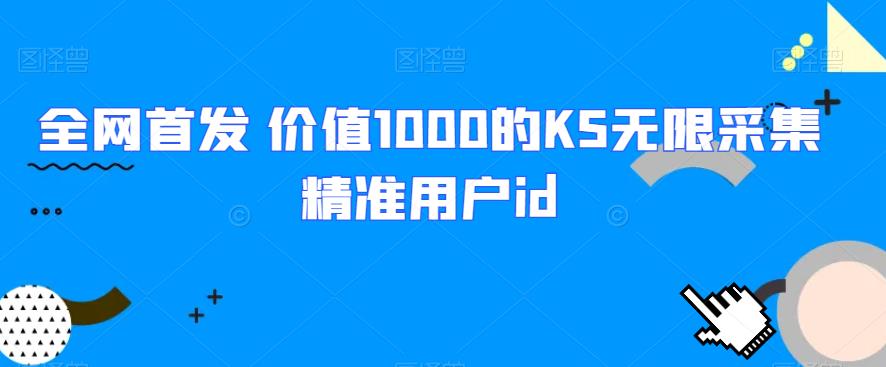 全网首发 价值1000的KS无限采集精准用户id网赚项目-副业赚钱-互联网创业-资源整合智云网赚